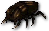 ExodusScarabeo