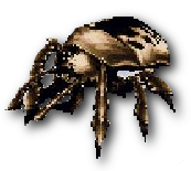 ExodusScarafaggio
