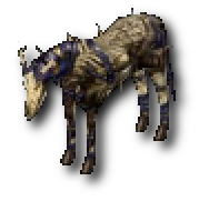 Skeletal