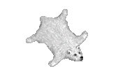 TAPPETO ORSO BIANCO TAPPETO ORSO BIANCO