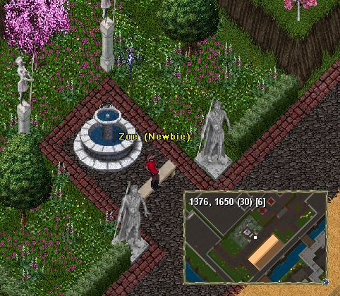 3Newbie