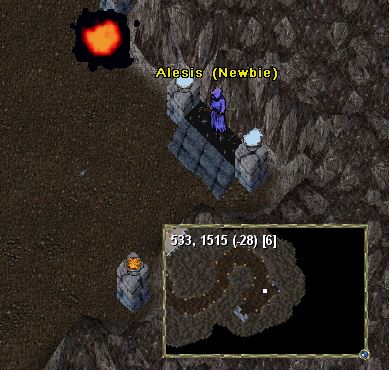 5Newbie