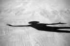 Avatar di Lear