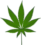 Avatar di Skunk
